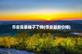 币安是要梯子了吗(币安最新价格)