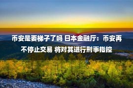 币安是要梯子了吗 日本金融厅：币安再不停止交易 将对其进行刑事指控