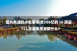 国外先进的小生意 耗资350亿的 t9 项目，TCL华星要用来做什么？