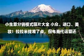 小生意分销模式图片大全 小众、进口、美妆！拉拉米找准了点，但电商代运营还是好生意吗？