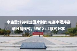 小生意分销模式图片制作 电商小程序商城分销模式，链动2＋1模式分享