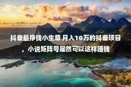 抖音最挣钱小生意 月入10万的抖音项目，小说矩阵号居然可以这样赚钱