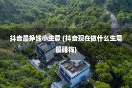 抖音最挣钱小生意 (抖音现在做什么生意最赚钱)