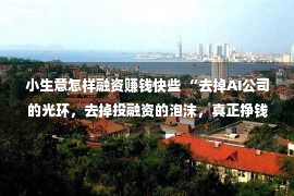 小生意怎样融资赚钱快些 “去掉AI公司的光环，去掉投融资的泡沫，真正挣钱才是好生意”