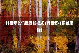 抖音怎么设置赚钱模式 (抖音怎样设置赚钱)