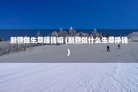 新疆做生意赚钱嘛 (新疆做什么生意挣钱)