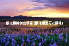 椒江摆摊创业项目 (椒江哪里可以摆摊)