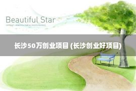 长沙50万创业项目 (长沙创业好项目)