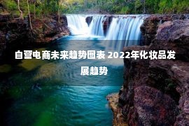 自营电商未来趋势图表 2022年化妆品发展趋势