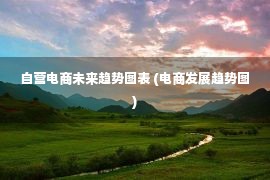 自营电商未来趋势图表 (电商发展趋势图)