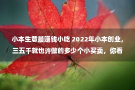 小本生意最赚钱小吃 2022年小本创业，三五千就也许做的多少个小买卖，你看好哪个？