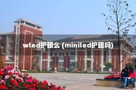 wled护眼么 (miniled护眼吗)