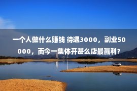 一个人做什么赚钱 待遇3000，副业50000，而今一集体开甚么店最赢利？