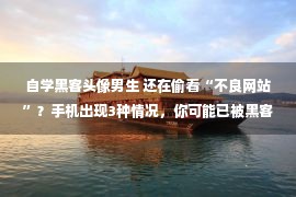 自学黑客头像男生 还在偷看“不良网站”？手机出现3种情况，你可能已被黑客利用