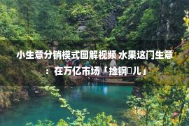 小生意分销模式图解视频 水果这门生意：在万亿市场「捡钢镚儿」