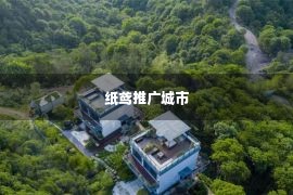 纸鸢推广城市