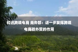 和讯跨境电商 商务部：进一步发挥跨境电商稳外贸的作用