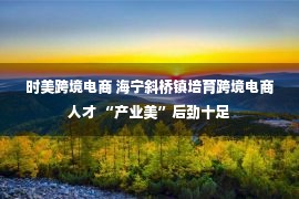 时美跨境电商 海宁斜桥镇培育跨境电商人才 “产业美”后劲十足