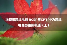 冯晓鹏跨境电商 RCEP与CPTPP为跨境电商带来新机遇（上）