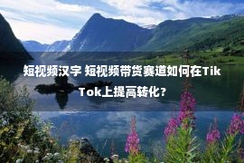 短视频汉字 短视频带货赛道如何在TikTok上提高转化?