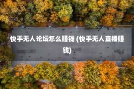 快手无人论坛怎么赚钱 (快手无人直播赚钱)