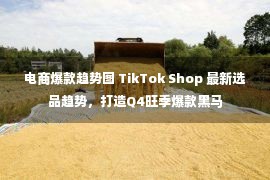 电商爆款趋势图 TikTok Shop 最新选品趋势，打造Q4旺季爆款黑马