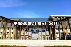 电商冰箱趋势分析图片 2023