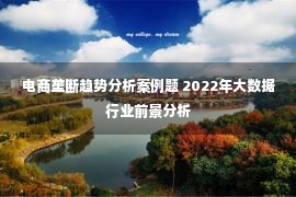 电商垄断趋势分析案例题 2022年大数据行业前景分析