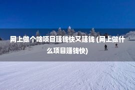 网上做个啥项目赚钱快又赚钱 (网上做什么项目赚钱快)