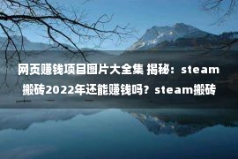 网页赚钱项目图片大全集 揭秘：steam搬砖2022年还能赚钱吗？steam搬砖项目到底能否做？