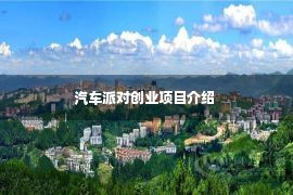 汽车派对创业项目介绍 