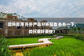 团购排序 朴朴产品分析报告 朴朴一下，如何更好更快？