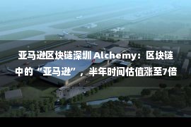 亚马逊区块链深圳 Alchemy：区块链中的“亚马逊”，半年时间估值涨至7倍！营收涨至15倍！