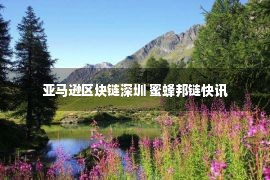 亚马逊区块链深圳 蜜蜂邦链快讯