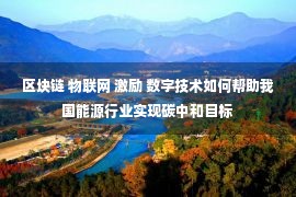 区块链 物联网 激励 数字技术如何帮助我国能源行业实现碳中和目标