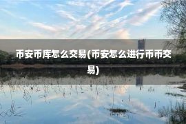 币安币库怎么交易(币安怎么进行币币交易)