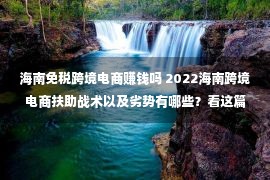 海南免税跨境电商赚钱吗 2022海南跨境电商扶助战术以及劣势有哪些？看这篇就够了！