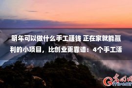 明年可以做什么手工赚钱 正在家就能赢利的小项目，比创业更靠谱：4个手工活让你正在家赢利