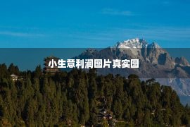 小生意利润图片真实图 