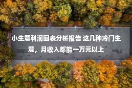 小生意利润图表分析报告 这几种冷门生意，月收入都能一万元以上