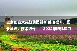 返乡创业未来趋势图解析 关注提升，场景落地，技术迭代——2022年脑机接口行业研究报告