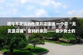 现今不花钱的代理开店赚钱 一个开“无货源店铺”宝妈的亲历——姜少女士的自述