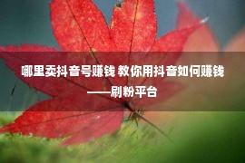 哪里卖抖音号赚钱 教你用抖音如何赚钱——刷粉平台