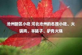 沧州新区小吃 河北沧州的名胜小吃、火锅鸡、羊肠子、驴肉火烧