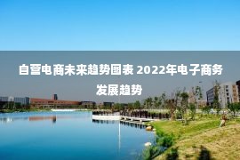 自营电商未来趋势图表 2022年电子商务发展趋势