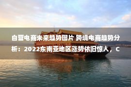 自营电商未来趋势图片 跨境电商趋势分析：2022东南亚地区涨势依旧惊人，C2M共同体推动“制造出海”