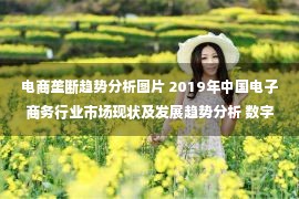 电商垄断趋势分析图片 2019年中国电子商务行业市场现状及发展趋势分析 数字技术驱动行业不断创新发展