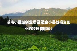 湖南小县城创业项目 适合小县城投资创业的项目有哪些？