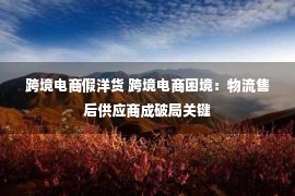 跨境电商假洋货 跨境电商困境：物流售后供应商成破局关键