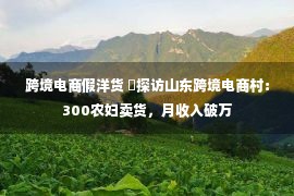 跨境电商假洋货 ​探访山东跨境电商村：300农妇卖货，月收入破万